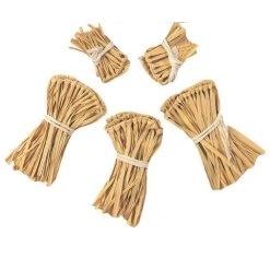 Rubies Scarecrow Straw Kit