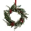Amscan_OO Rustic Red Berry Door Wreath 45cm Each -Amscan shop RUS 118