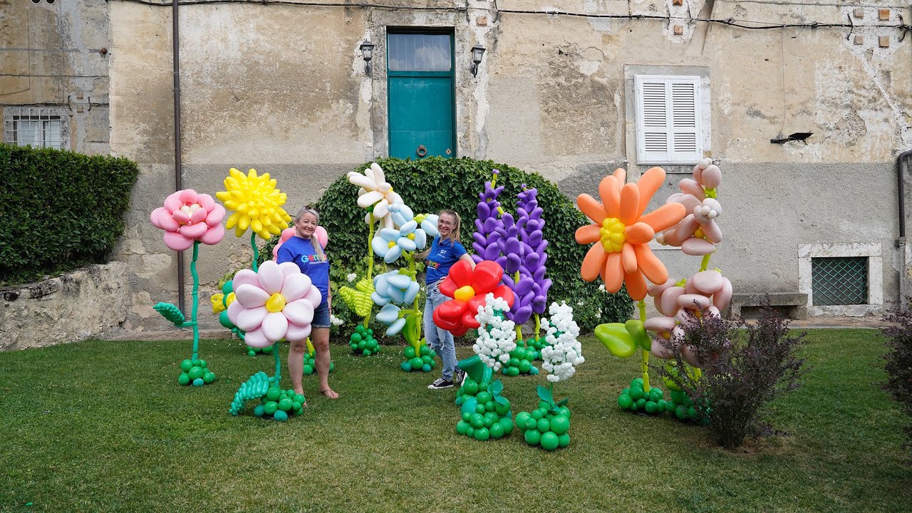 Amscan shop 1 Amscan shop -Amscan shop